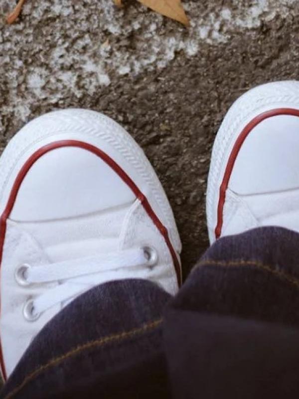 Ateliers sur la biosécurité